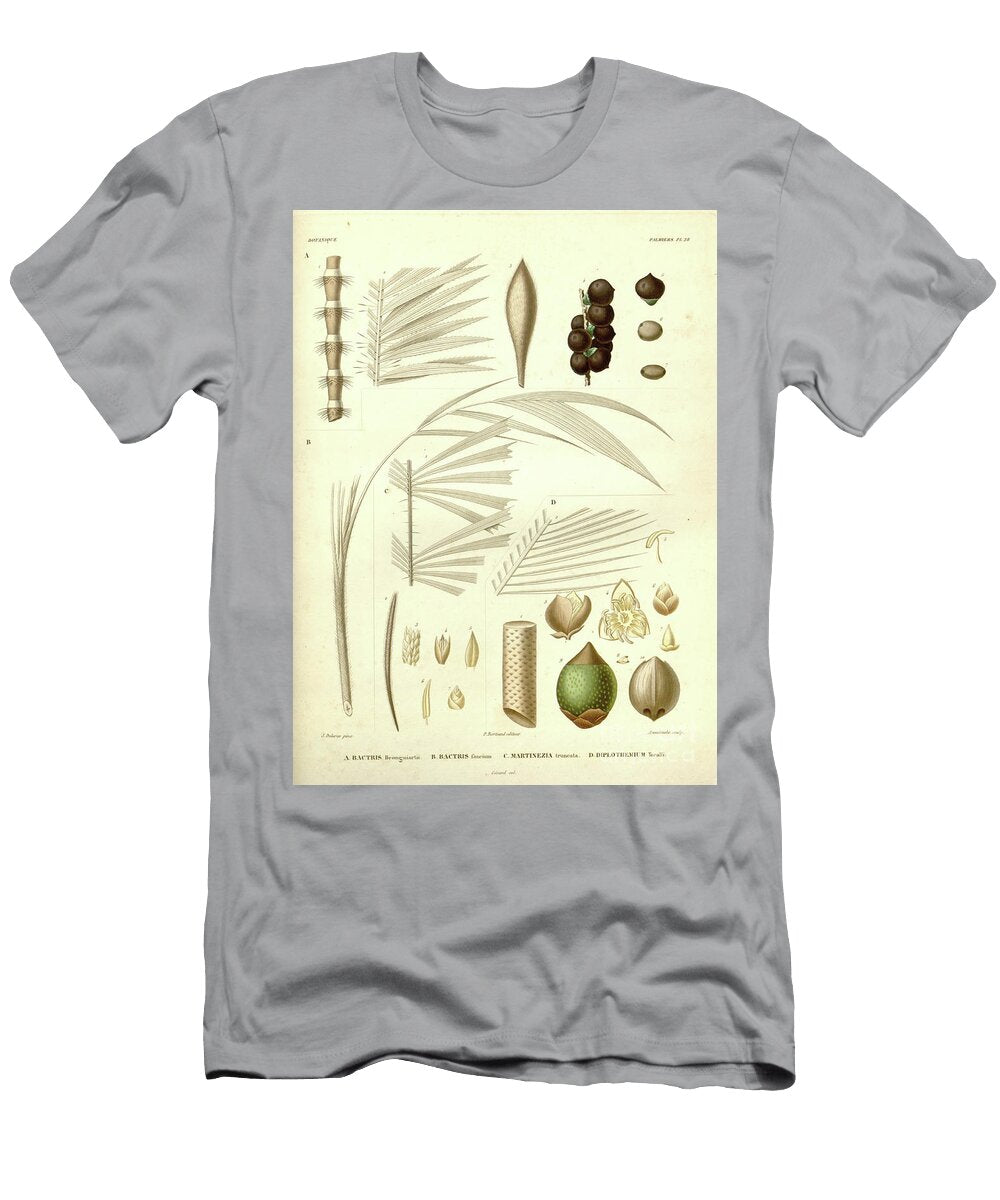 Details of Palm Tree Parts U6 Botany T-Shirt