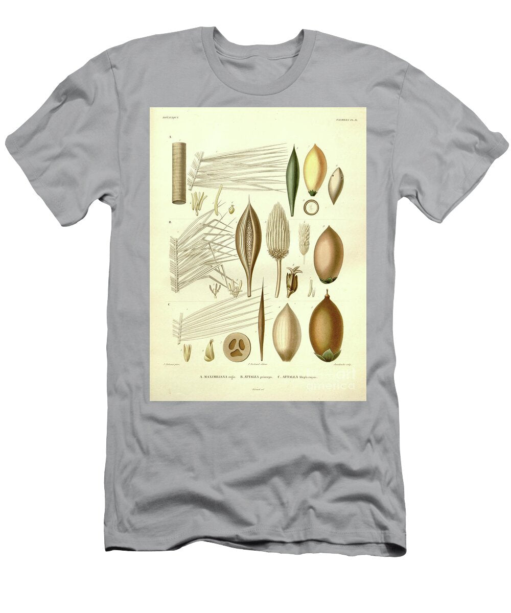 Details of Palm Tree Parts U7 Botany T-Shirt