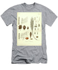 Details of Palm Tree Parts U8 Botany T-Shirt
