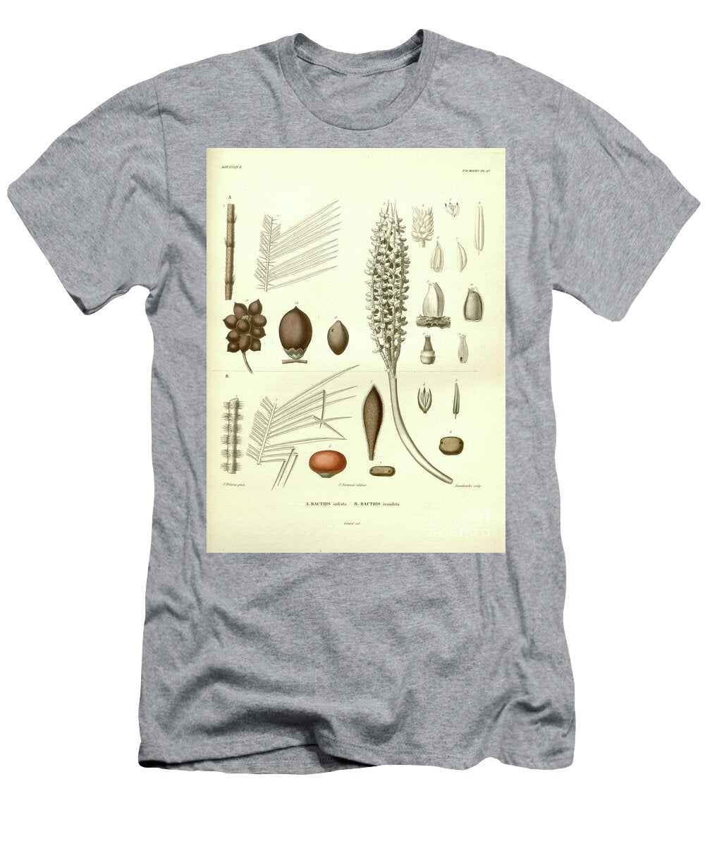 Details of Palm Tree Parts U8 Botany T-Shirt