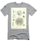 Details of Palm Tree Parts U9 Botany T-Shirt