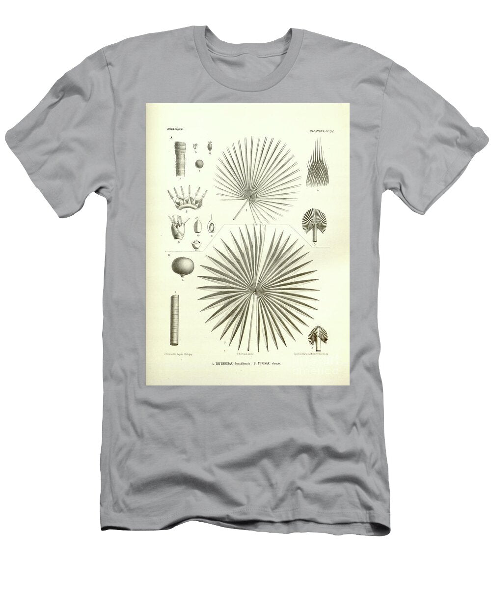 Details of Palm Tree Parts U9 Botany T-Shirt