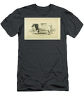 Devon Cow Q1 Historic Illustrations T-Shirt