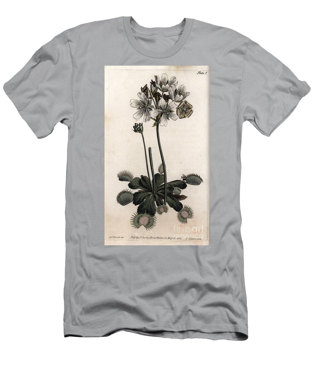 Dionee Catches Fly or Wolf Trap Sydenham Teast Edwards T-Shirt
