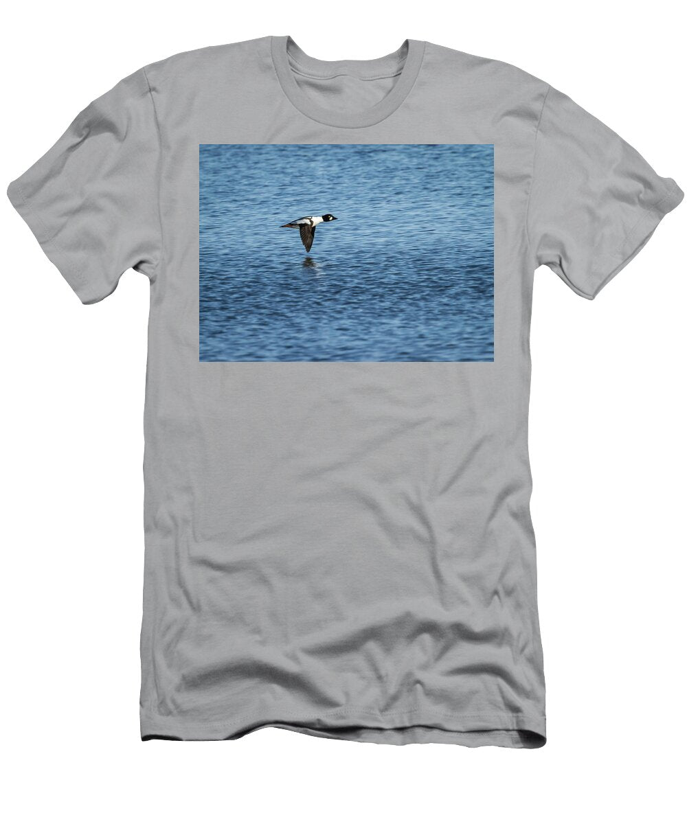 Drake Goldeneye in Flight 2013 1 Thomas Young T-Shirt