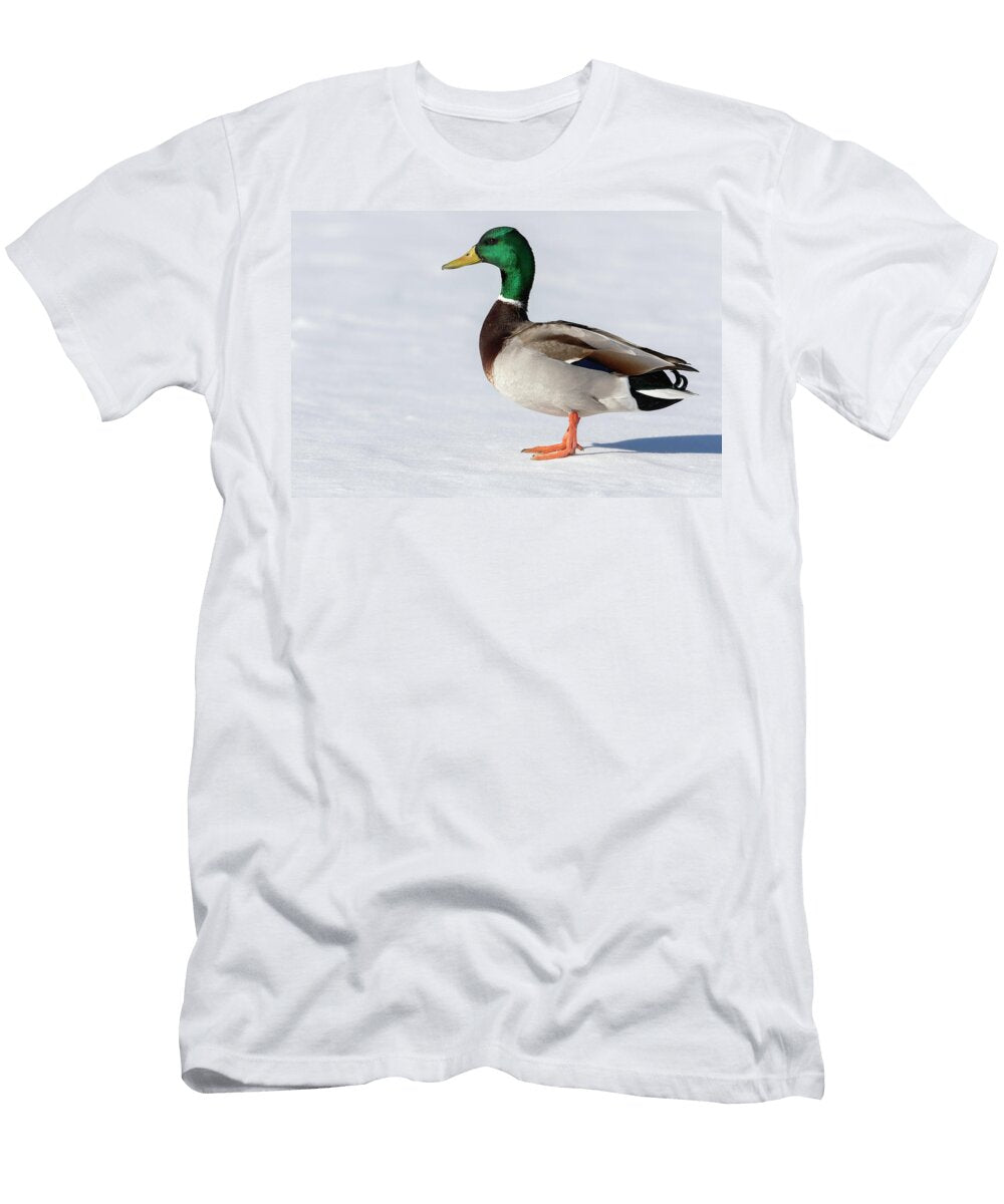 Drake Mallard Duck 2 1 2026 Thomas Young T-Shirt