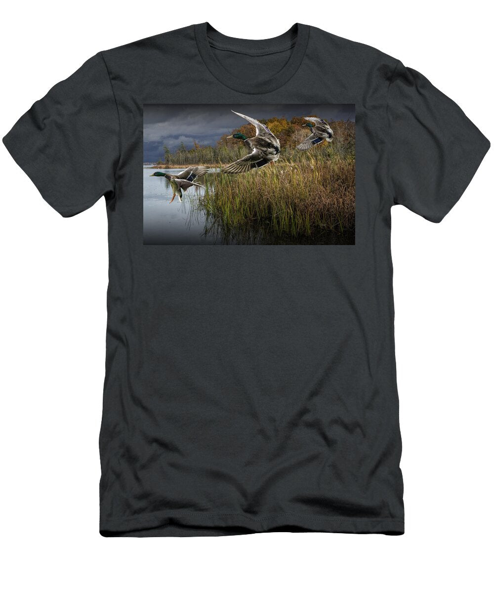Drake Mallard Ducks Coming in for a Landing Randall Nyhof T-Shirt