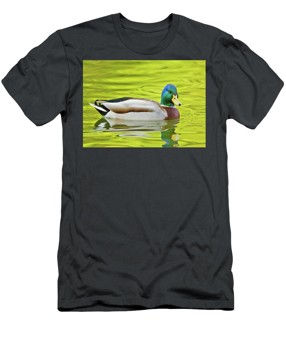 Drake Mallard Golden Gate Parkff43 Jim Coda T-Shirt