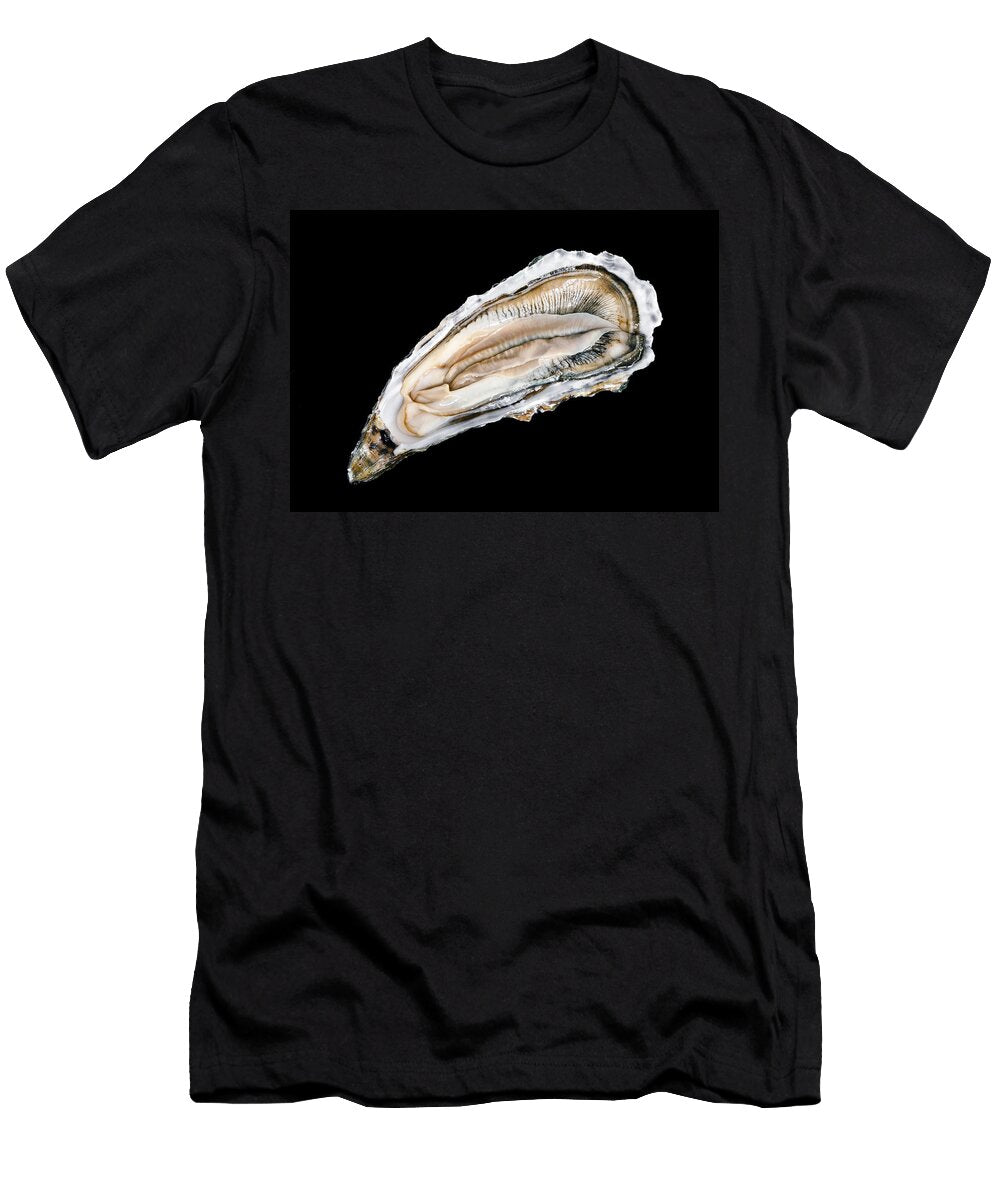 Drakes Beach 10 004 1192010 Andy Frasheski T-Shirt