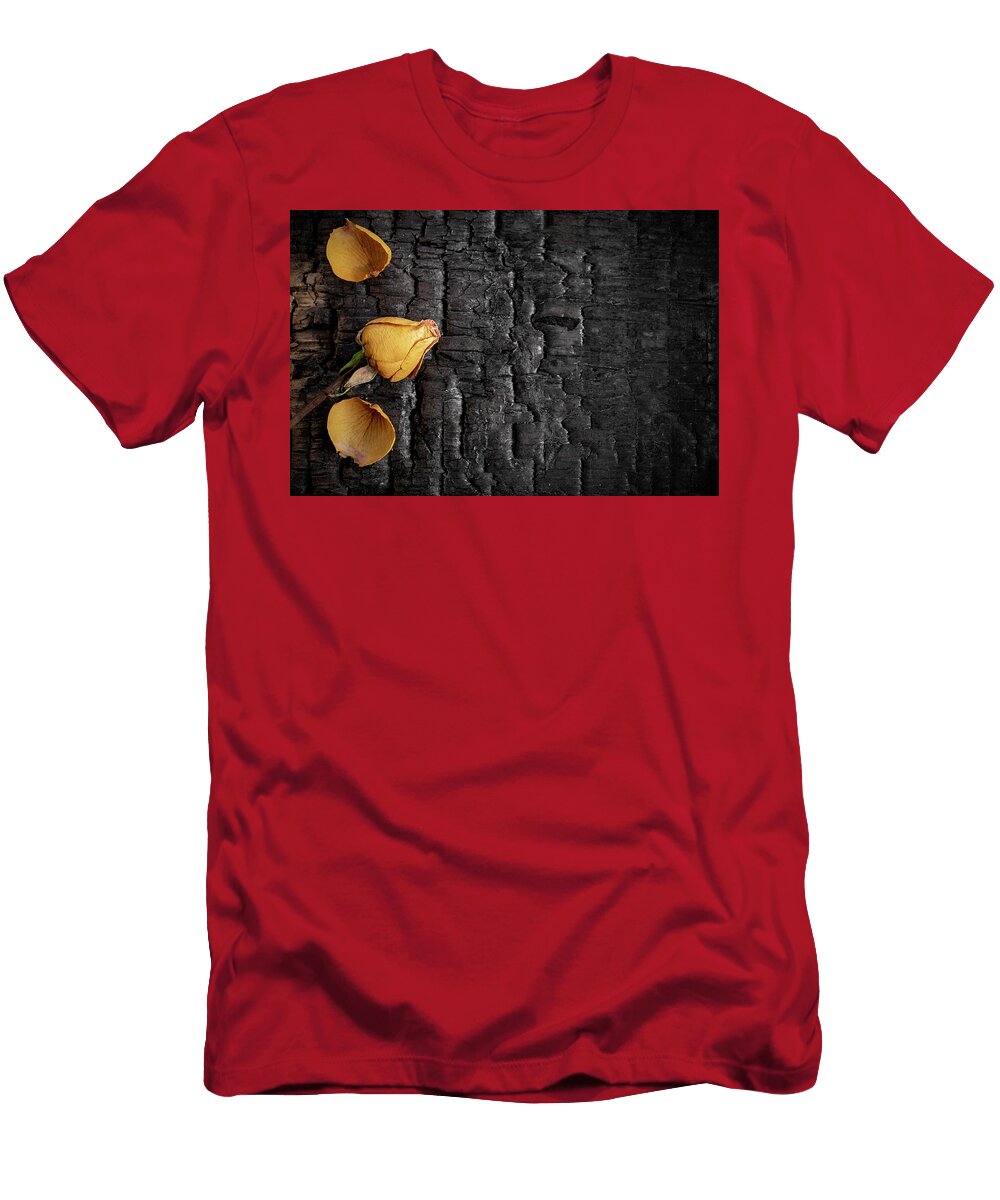 Dried Rose Flower on Burned Wooden Board Texture with Copy Spac Dorin Puha T-Shirt