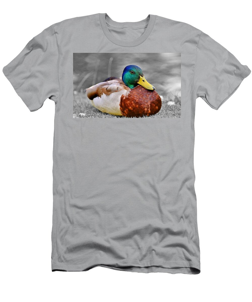 Duck Mallard Les Classics T-Shirt