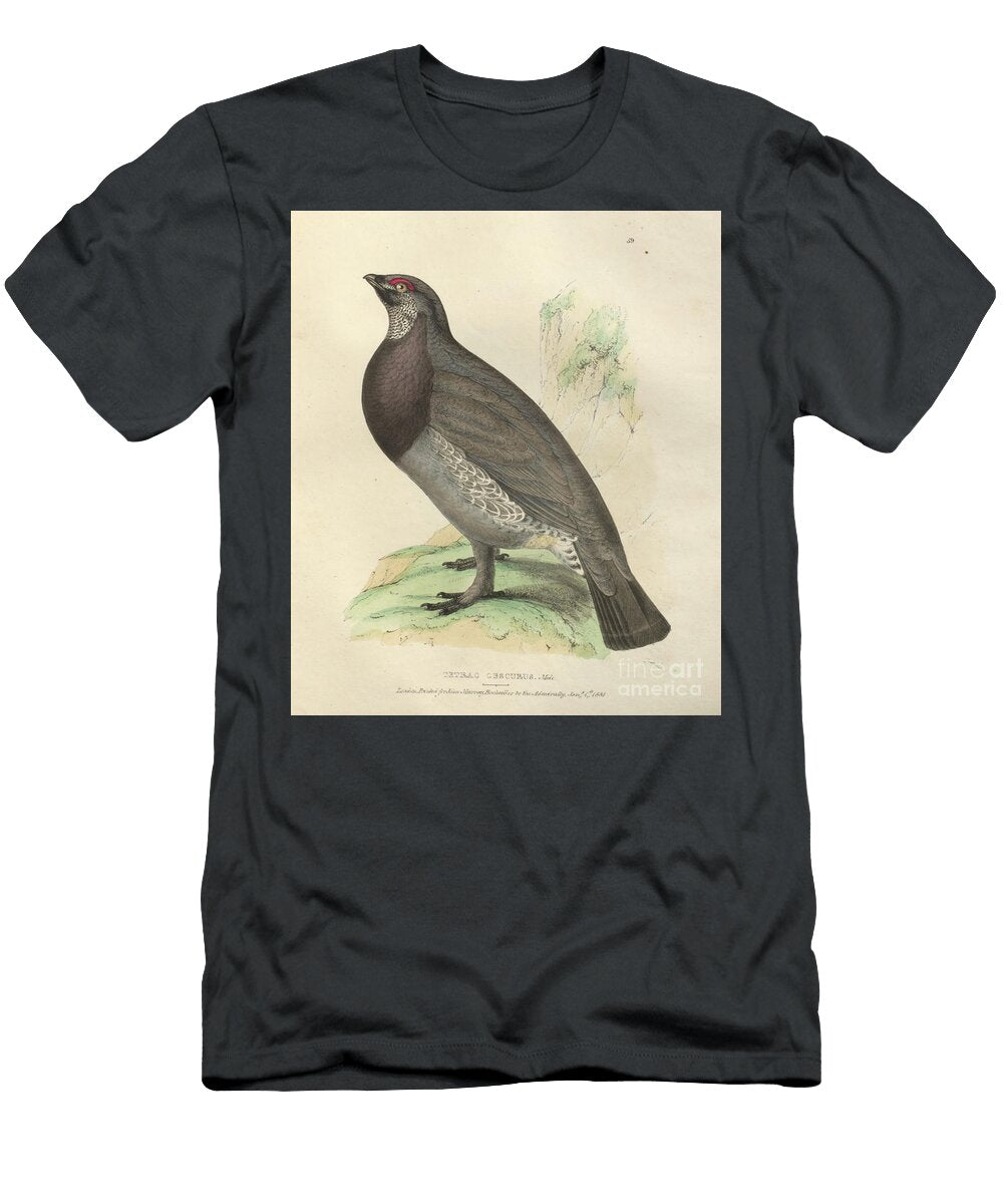 Dusky Grouse Tetrao Obscurus O1 Historic Illustrations T-Shirt