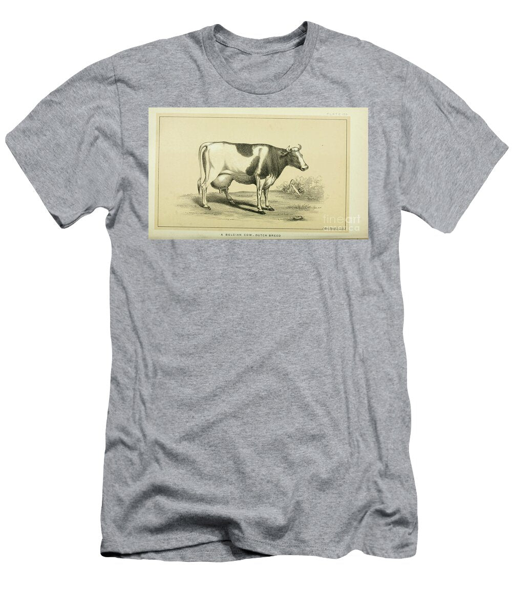 Dutch Breed Dairy Cow Q1 Historic Illustrations T-Shirt