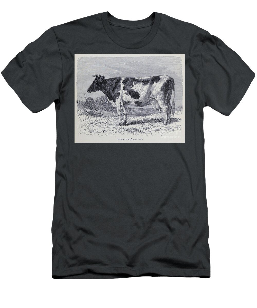 Dutch Cow M5 Historic Illustrations T-Shirt