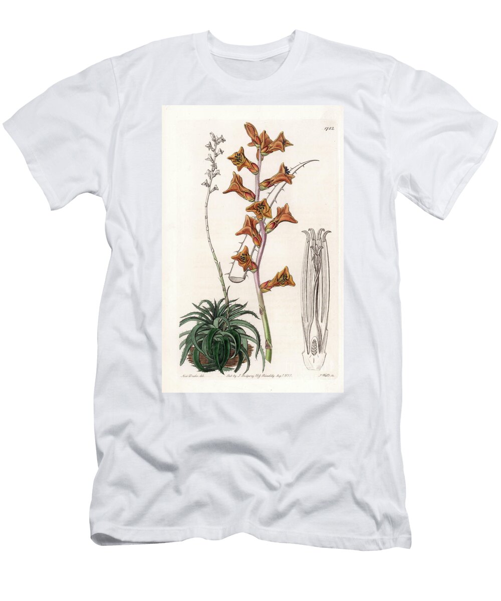 Dyckia Succulent Plant with Orange Flowers Native of Brazil Sydenham Teast Edwards T-Shirt