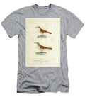 Earthcreeper Birds of South America 1835 U1 Historic Illustrations T-Shirt