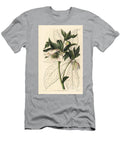 Eastern Hellebore Eastern Hellebore or Lenten Rose Helleborus Orientalis European School T-Shirt