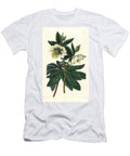 Eastern Hellebore Olympian Hellebore Helleborus Olympicus European School T-Shirt