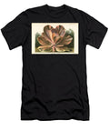 Echeveria Gibbiflora Echeveria Metallica Var European School T-Shirt
