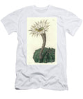Echinocactus Eyriesii Flowering Cactus Native to Mexico Sydenham Teast Edwards T-Shirt