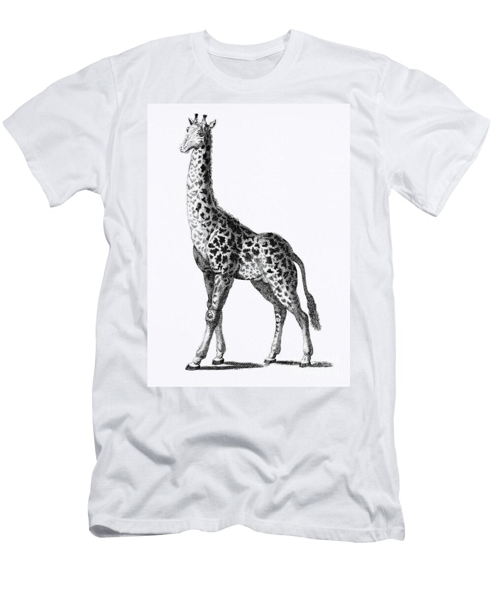 Elegant Giraffe Sketchgiraffe From Zoological Lectures Delivered At the Royal Institution in the Yea Salsabeel Studio T-Shirt