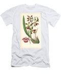 Encycloa Plicata Orchid Paited Lipped Epidendrum Epidendrum Plicatum European School T-Shirt