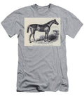 English Race Horse Bend or M3 Historic Illustrations T-Shirt