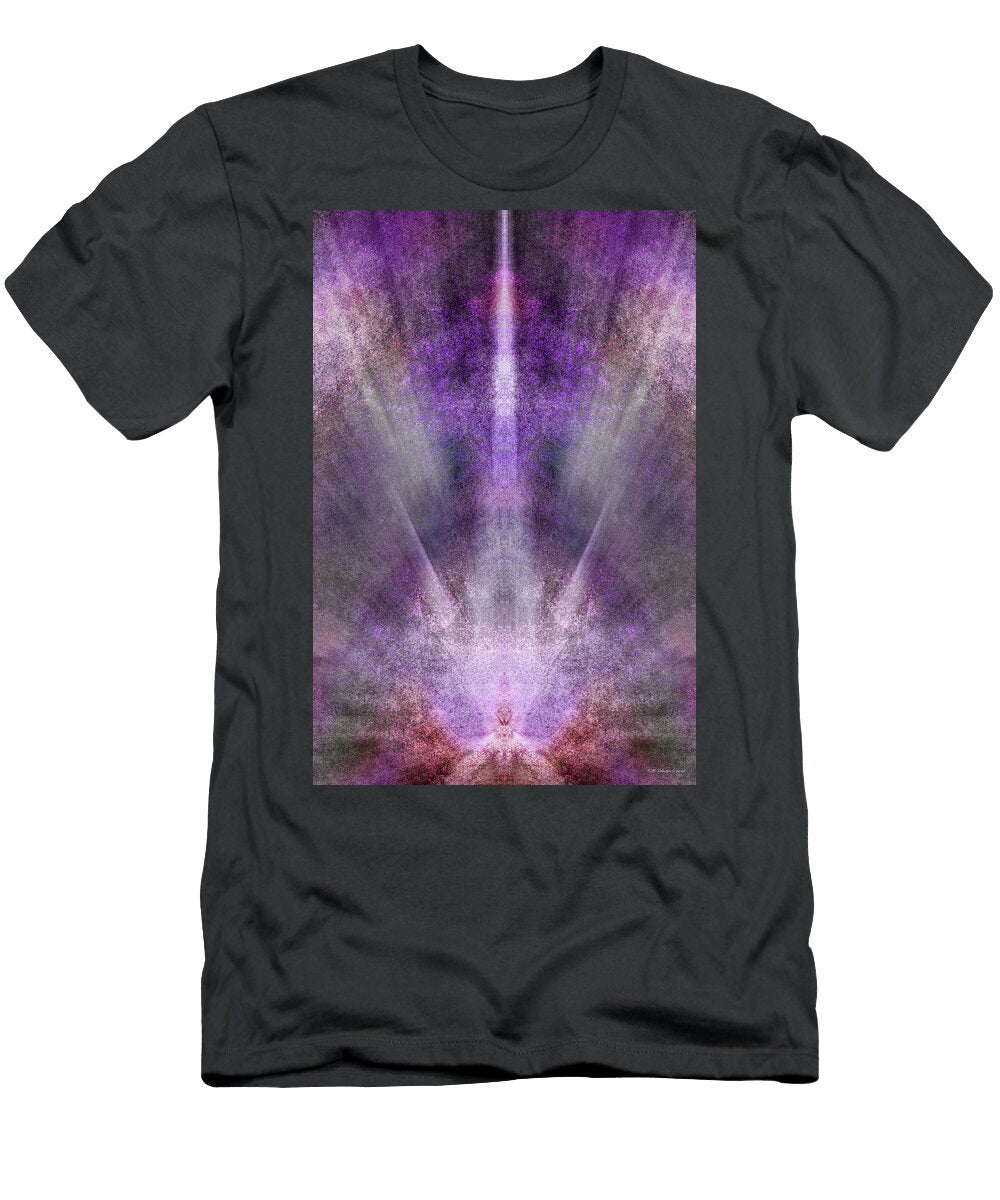 Enlightenment Wb Johnston T-Shirt