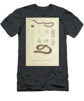 Epictia Albifrons B1 Historic Illustrations T-Shirt