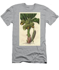 Epiphytic Orchid Pale Yellow Catasetum Native to Brazil Sydenham Teast Edwards T-Shirt