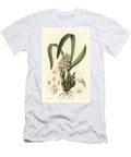 Epiphytic Orchid Variete Coelia Three Winged Coelia Orchid Coelia Triptera Mr European School T-Shirt