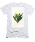 Erythrone Has Large Flowers Native of North America Sydenham Teast Edwards T-Shirt