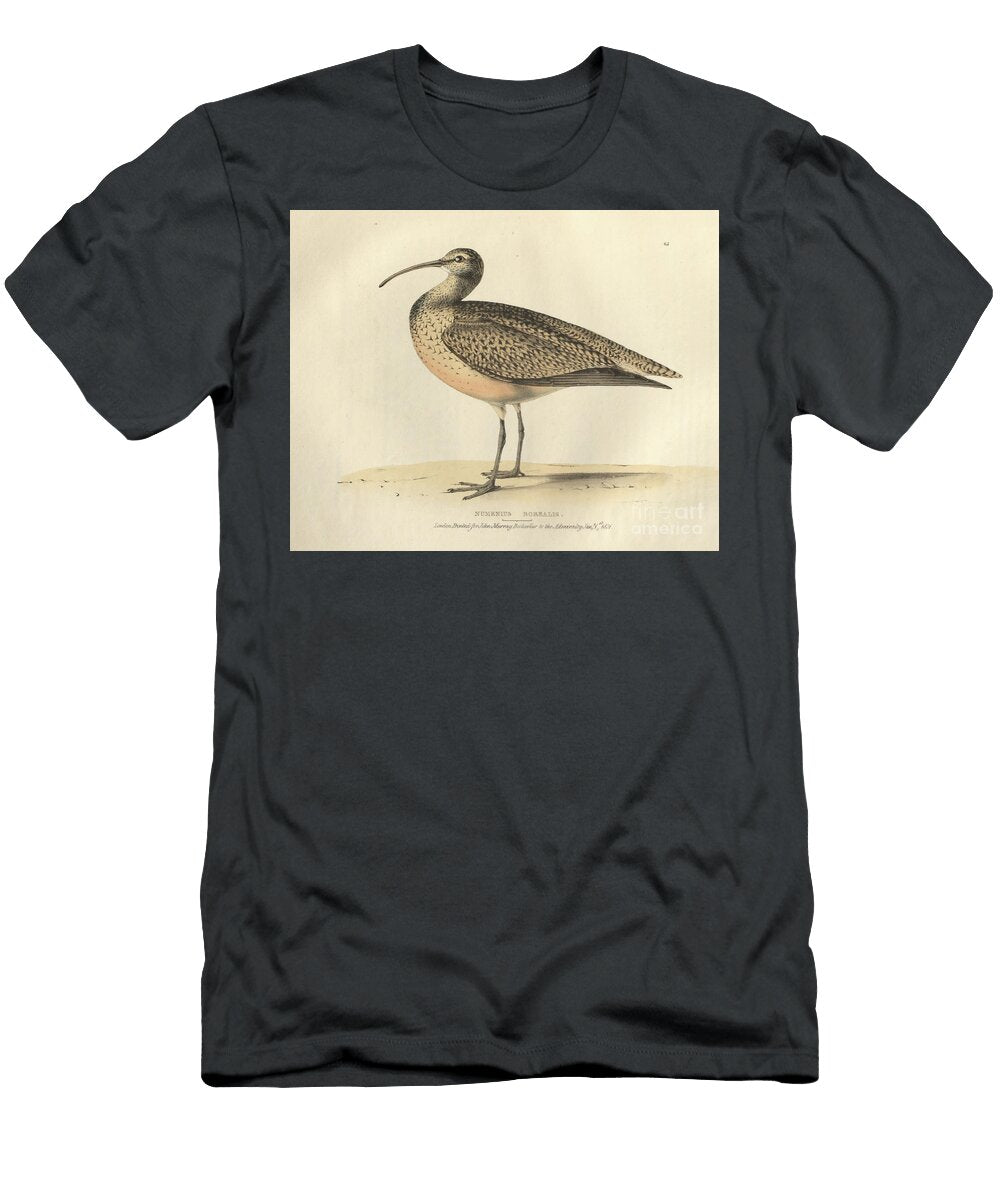 Eskimo Curlew Numenius Borealis O1 Historic Illustrations T-Shirt
