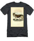 Eskimo Dog or Sledge Dog C1 Historic Illustrations T-Shirt