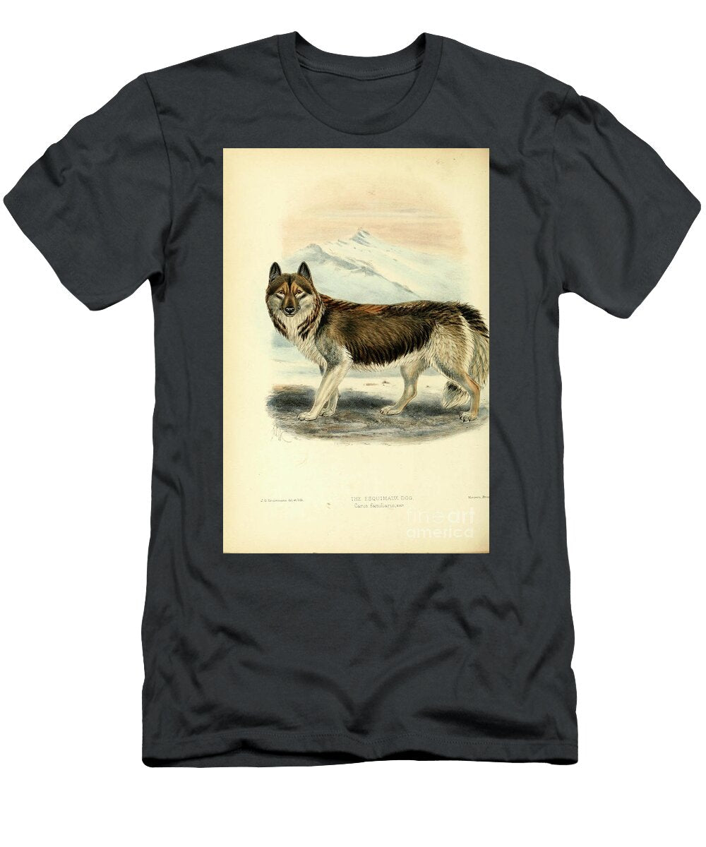 Eskimo Dog or Sledge Dog C1 Historic Illustrations T-Shirt