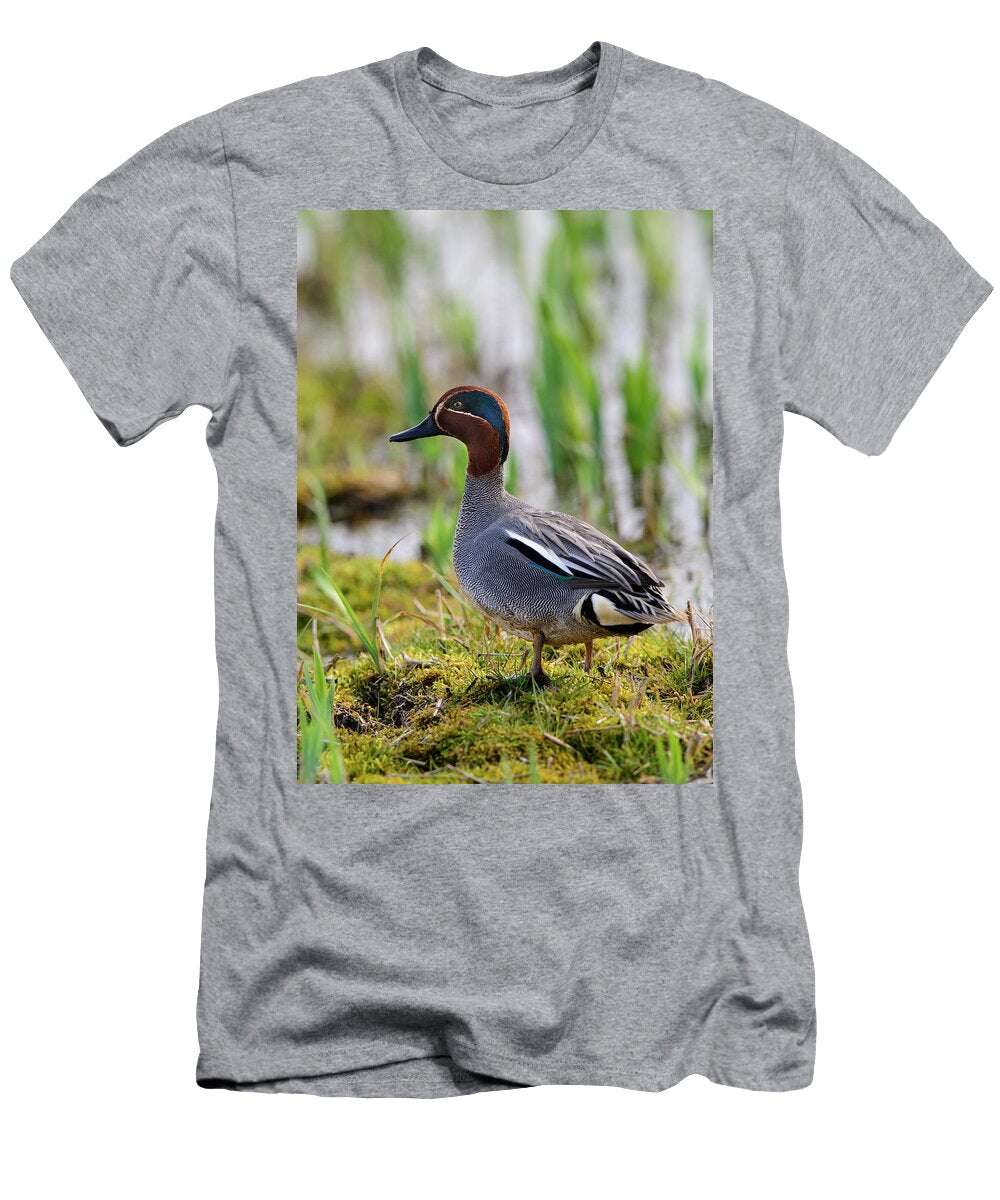 Eurasian Teal Drake in Marshland Suffolk England UK Oscar Dewhurst Natureplcom T-Shirt