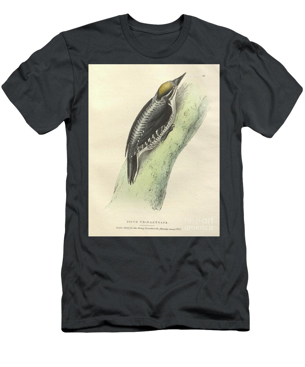 Eurasian Three Toed Woodpecker O1 Historic Illustrations T-Shirt