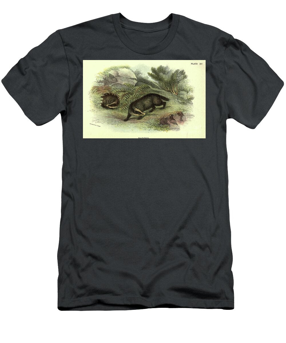 European Badger Meles Meles N5 Historic Illustrations T-Shirt