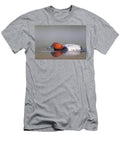 European Pochard Drake Displaying Flat Posture During David Pattyn Natureplcom T-Shirt