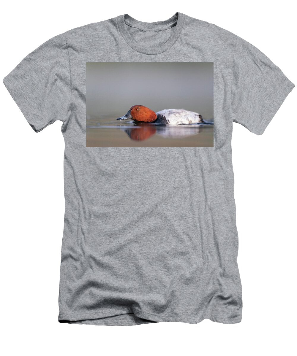 European Pochard Drake Displaying Flat Posture During David Pattyn Natureplcom T-Shirt