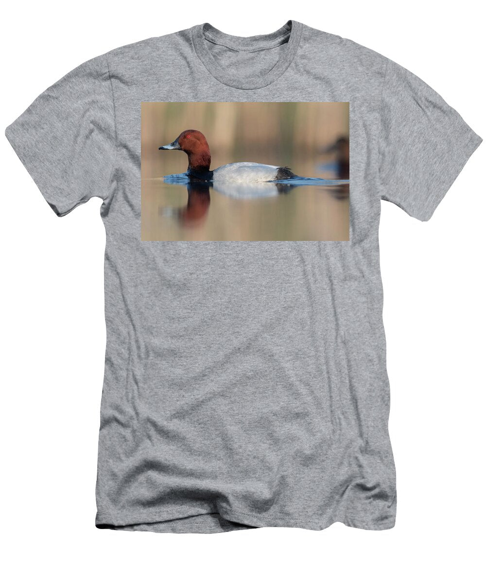 European Pochard Male Drake Valkenhorst Nature Reserve David Pattyn Natureplcom T-Shirt