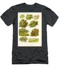 Examples of Foliage I1 Historic Illustrations T-Shirt