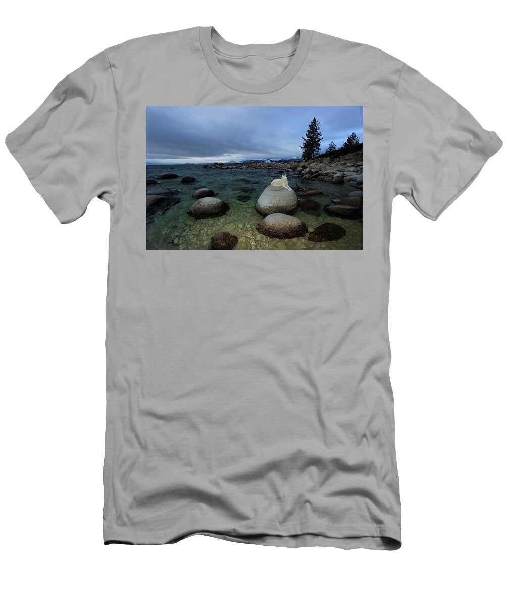 Eye of the Storm Sean Sarsfield T-Shirt