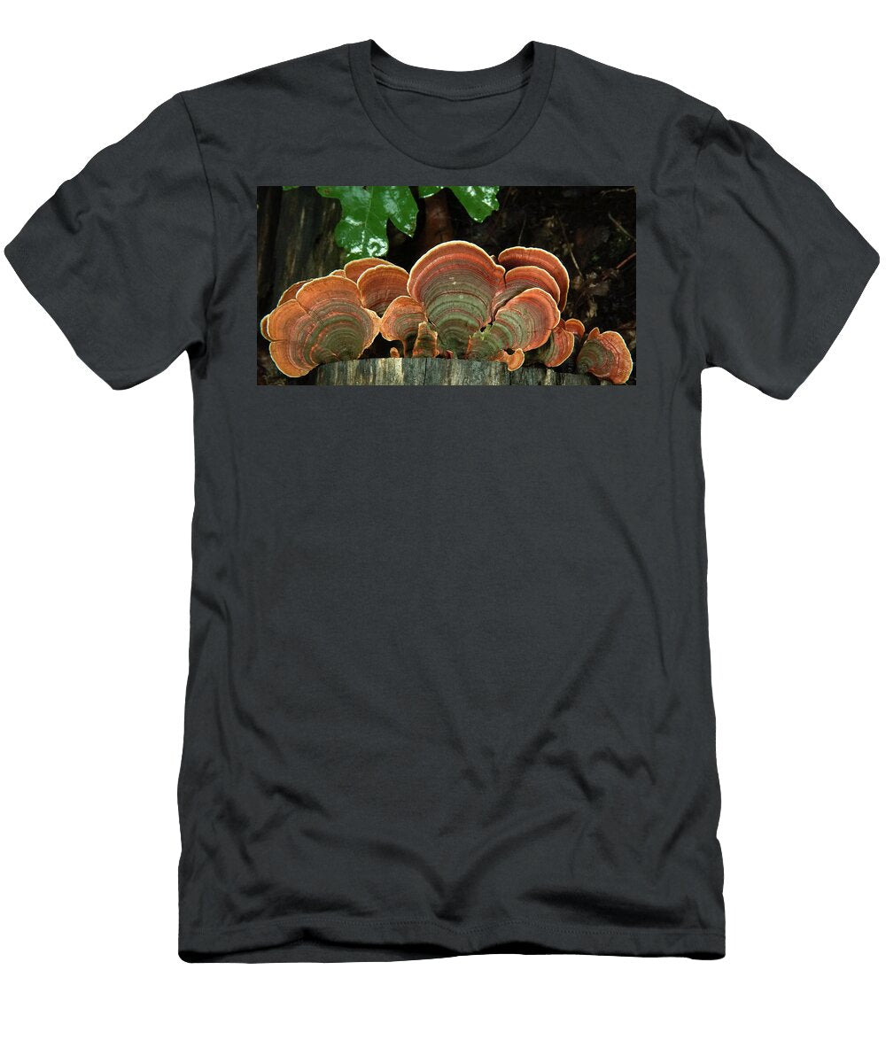 Fan of Turkey Tail Fungi After Rain Douglas Barnett T-Shirt