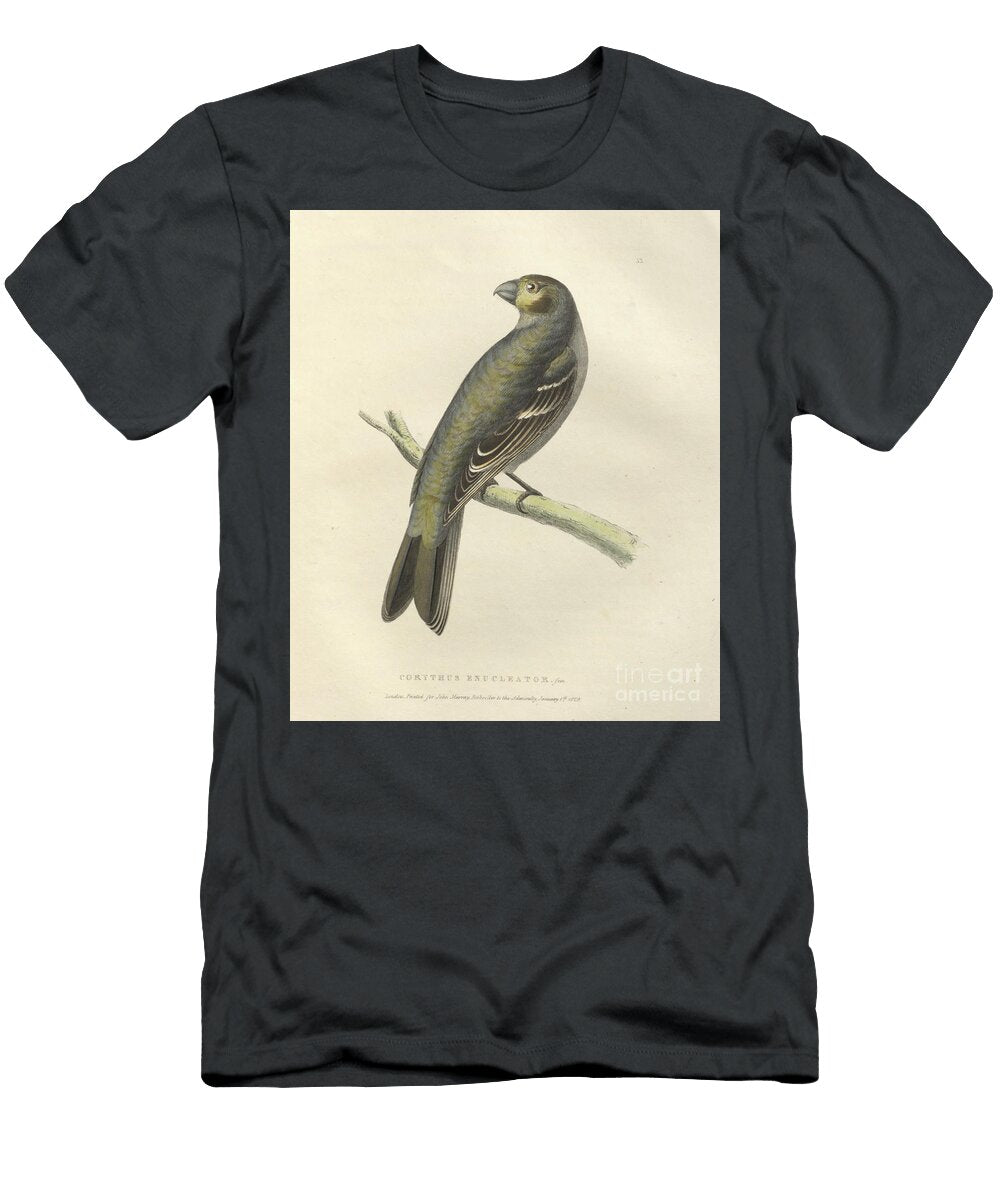 Female Pine Grosbeak Corythus Enucleator O1 Historic Illustrations T-Shirt