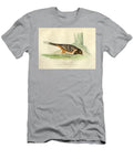 Female Pipilo Arctica O1 Historic Illustrations T-Shirt
