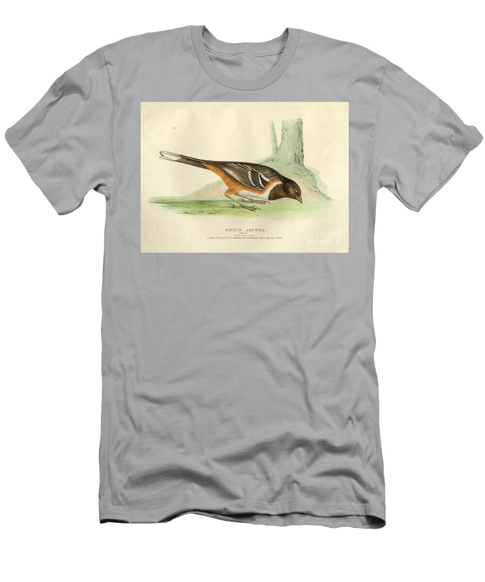 Female Pipilo Arctica O1 Historic Illustrations T-Shirt