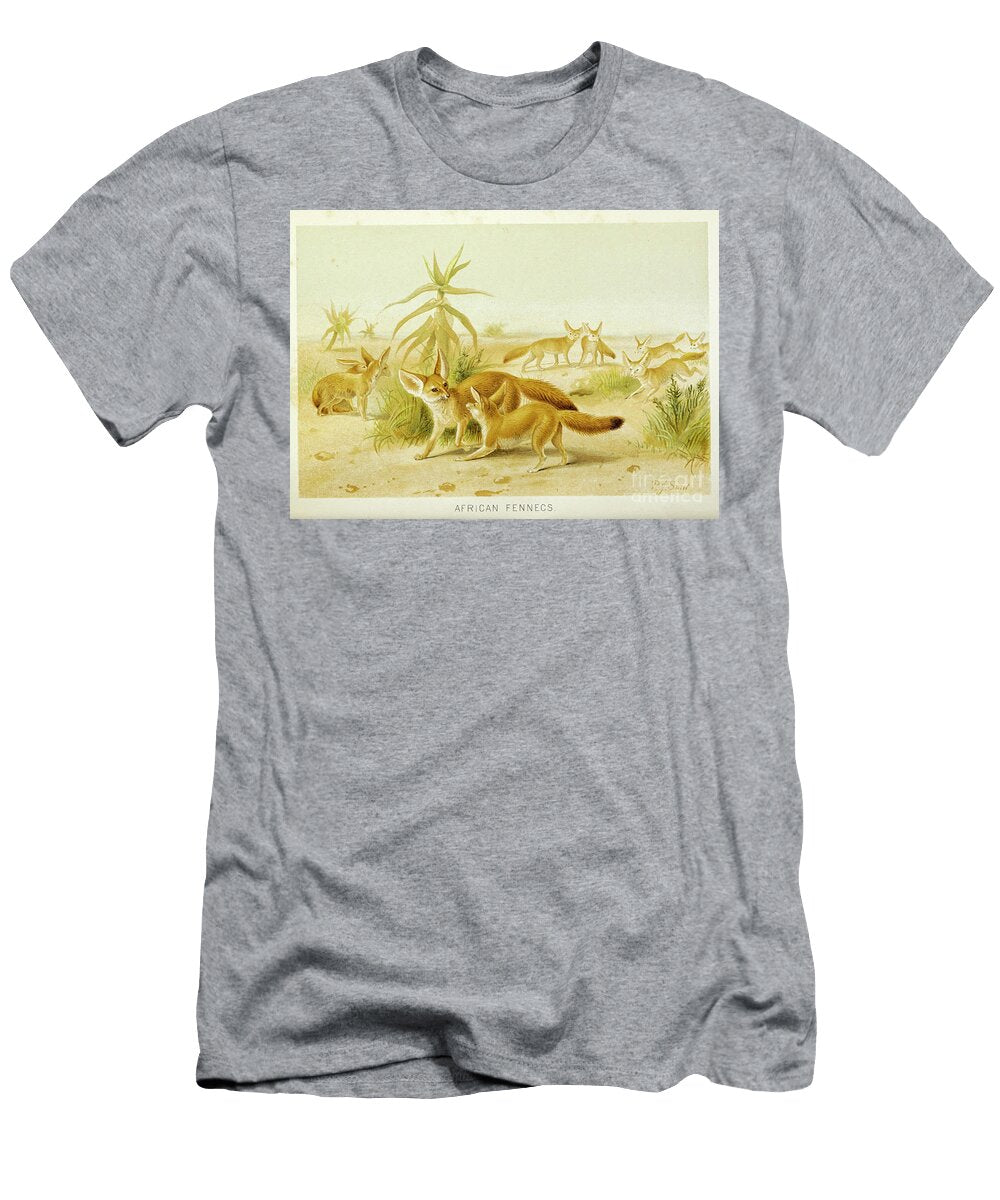 Fennec Fox Vulpes Zerda L1 Historic Illustrations T-Shirt