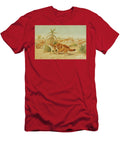 Fennec Fox Vulpes Zerda L5 Historic Illustrations T-Shirt