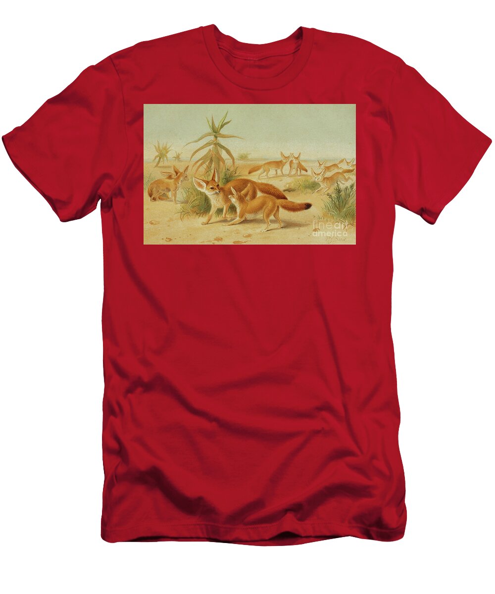 Fennec Fox Vulpes Zerda L5 Historic Illustrations T-Shirt